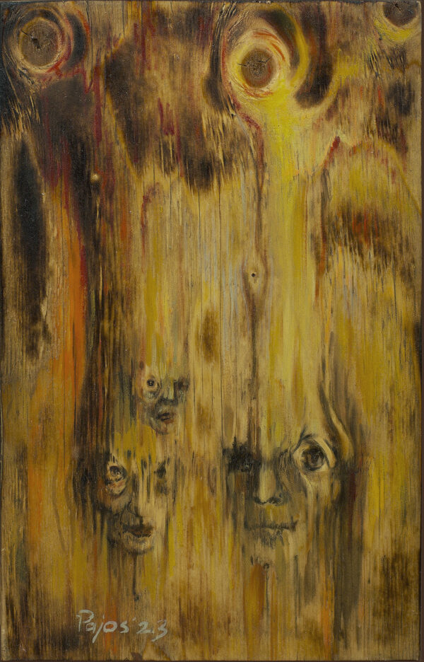 DREAM FACES