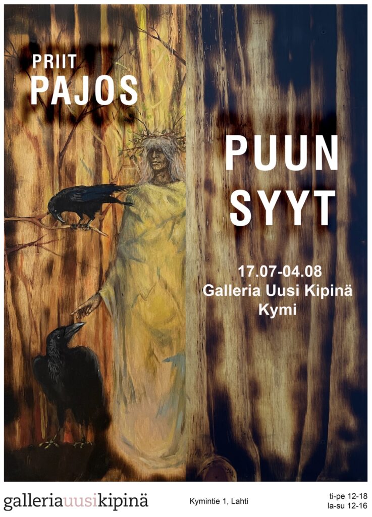 galleria Uusi Kipinä Pajos näyttely