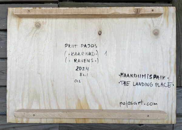THE LANDING SPOT - Image 7