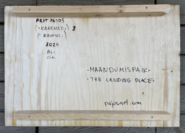 THE LANDING SPOT - Image 6