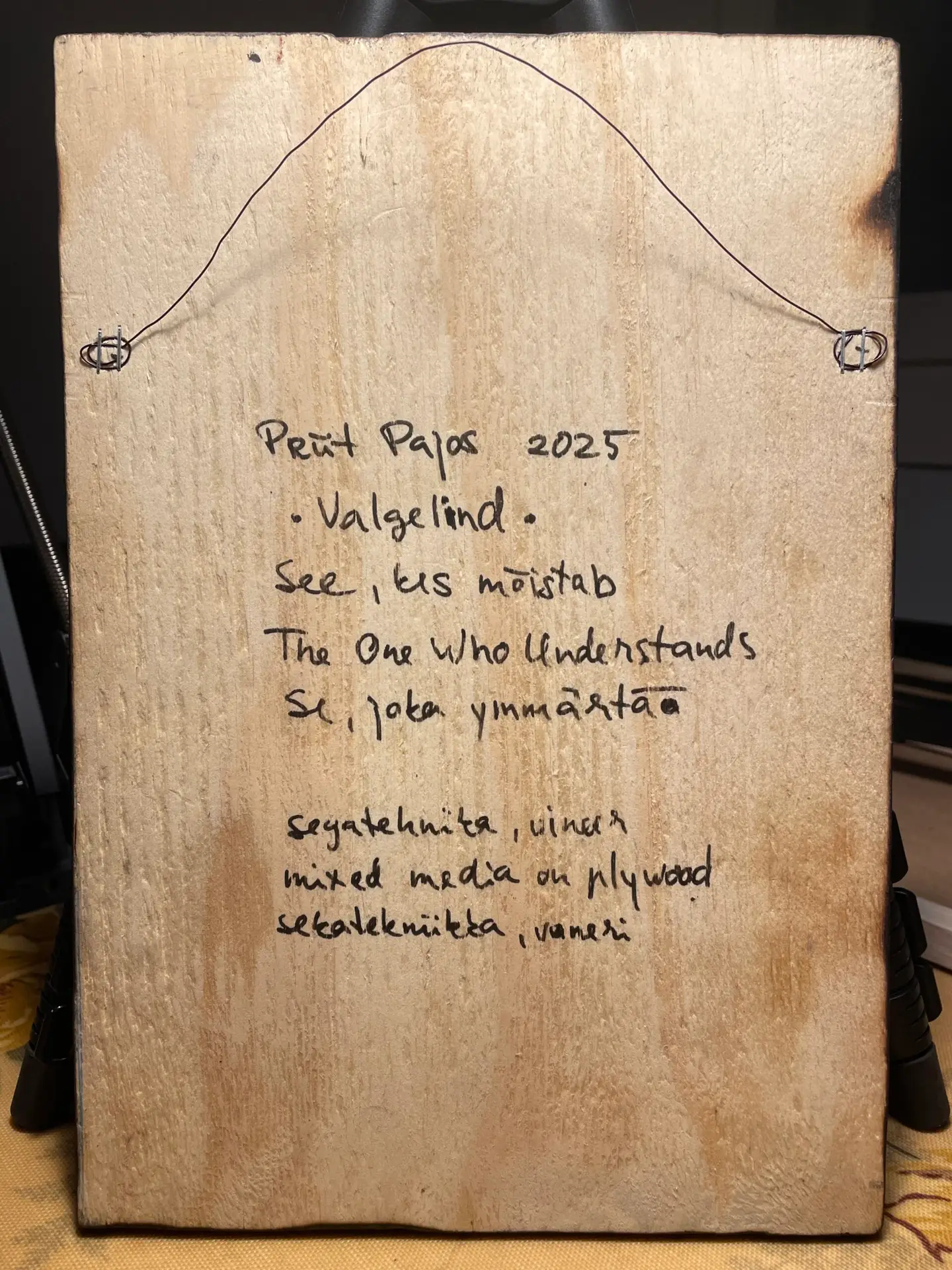 VALGELIND - THE ONE WHO UNDERSTANDS - Image 5